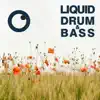 Dreazz - Liquid Drum & Bass Sessions 2021 Vol 43